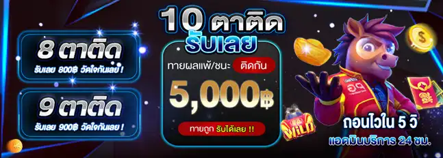 ทัวร์นาเม้นต์